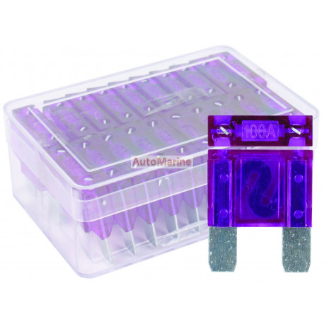 Maxi Fuse Set - 100 Amp - 20 Pieces