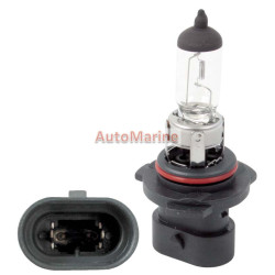 Halogen Globe 55W 12V E1