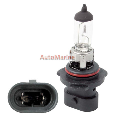 Halogen Globe 55W 12V E1