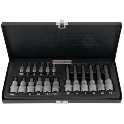 Hex Bit Socket Set - 1/4 and 1/2 Inch Drive - 18 Pieces - Hoteche