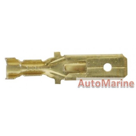 Brass Male Socket Terminal - 6.3mm - 10 Pieces
