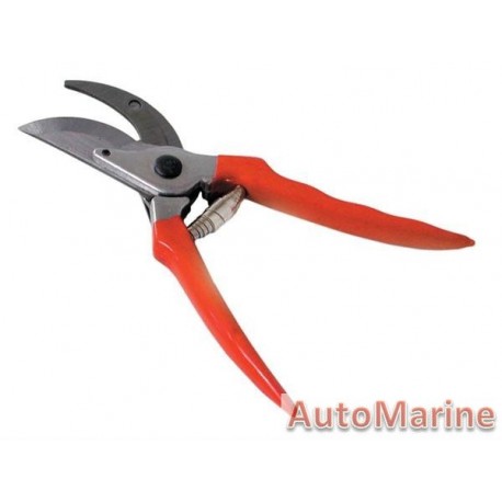 Pruning Shears - 8 Inch