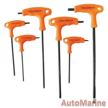 6 Piece T Handle Torx Set