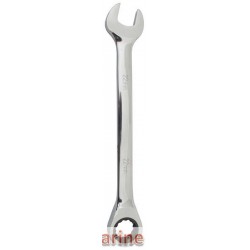 Combination Ratchet Spanner - 22mm