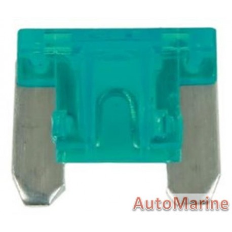 2 Pin Blade Fuse - 10 Amp - 100 Pieces