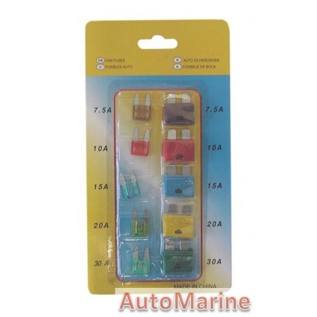 10 Piece Fuse Set (Mini + Standard)