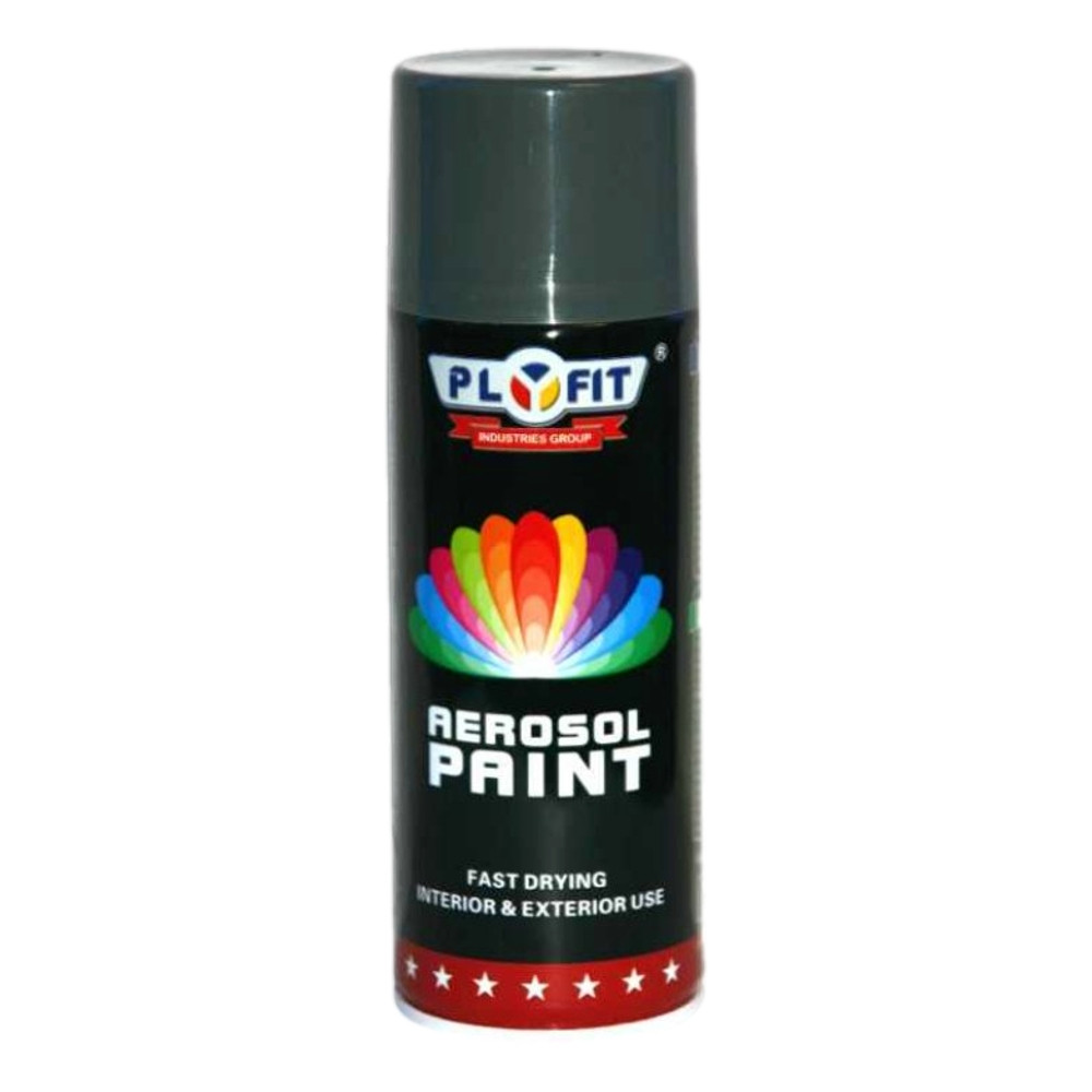Interior Care Plyfit Aerosol Spray Paint Machine Grey 300ml for